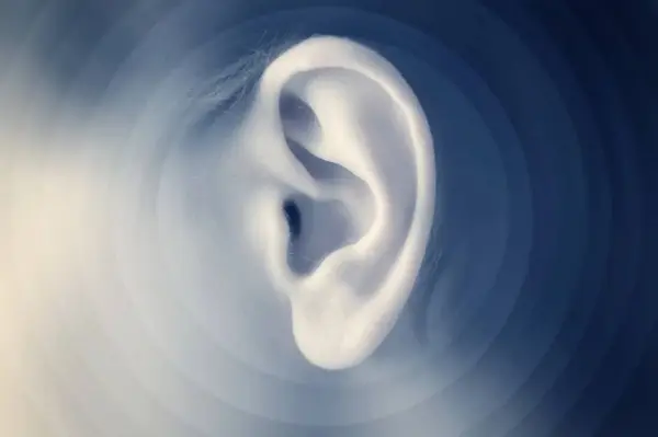 سلول های بنیادین و کم شنوایی