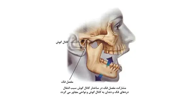 مشکلات فک و دندان و درد گوش