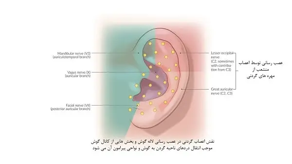 مشکلات گردن و درد گوش