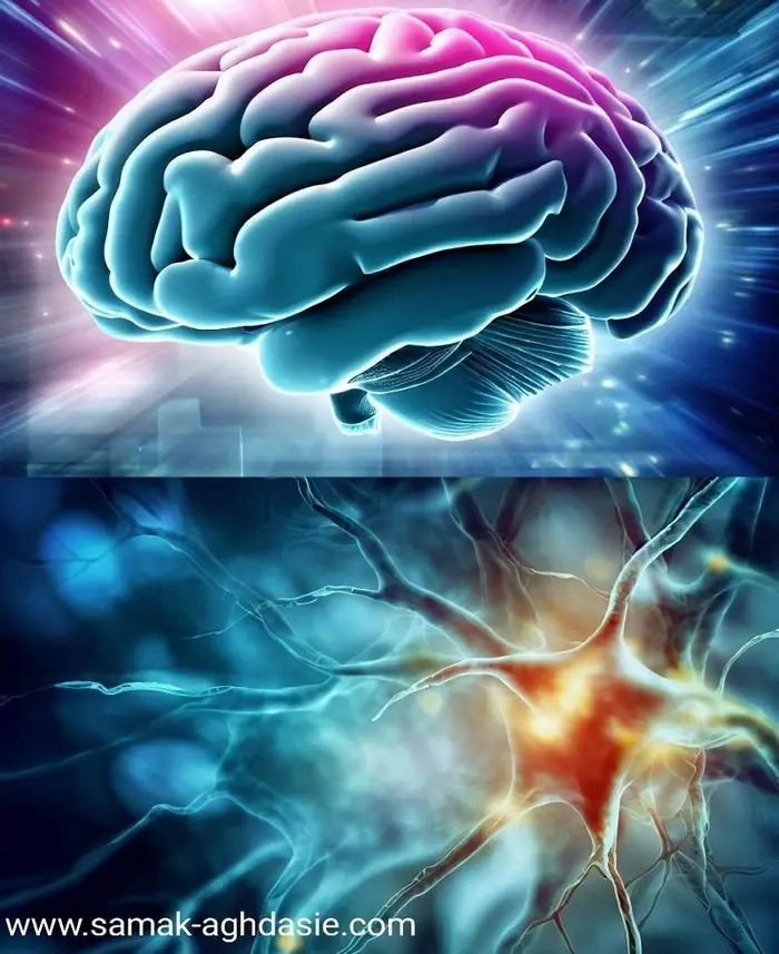 زوال عقل چگونه ایجاد می شود؟