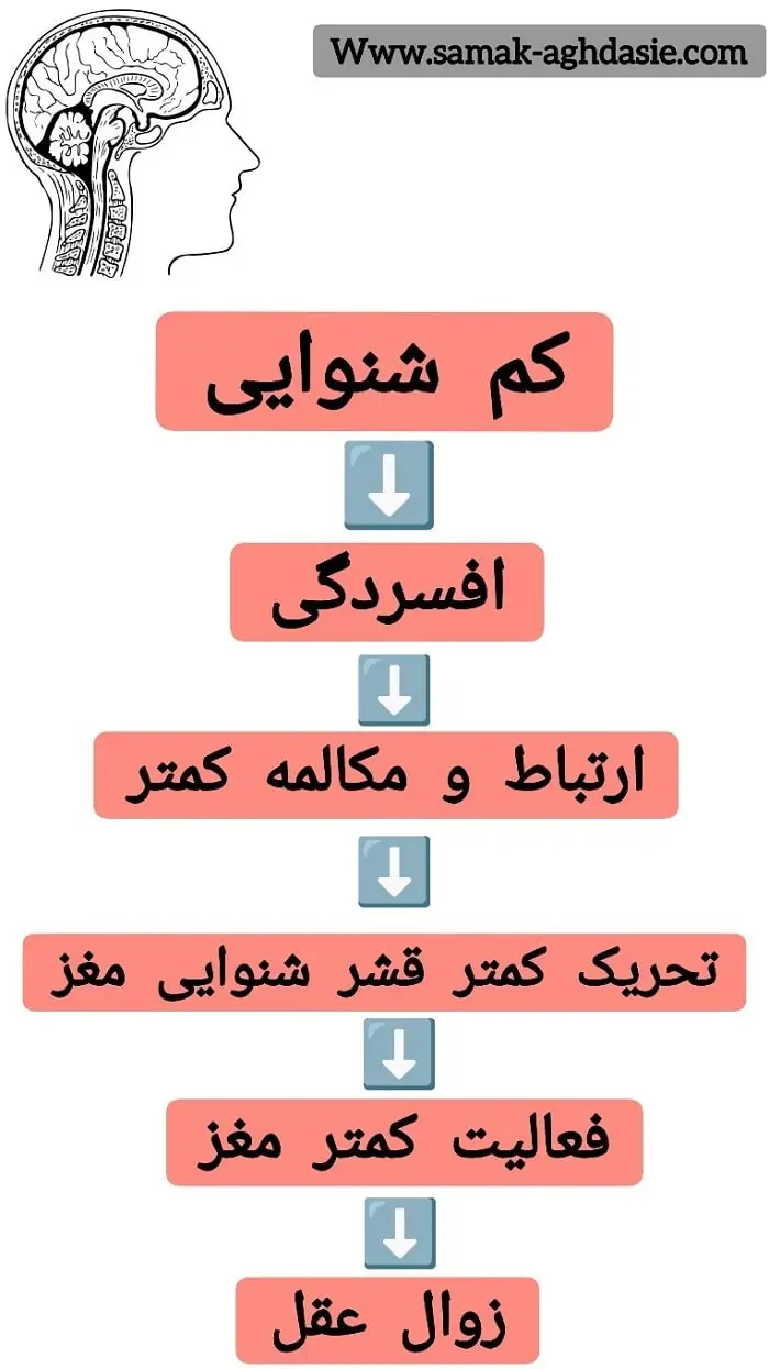 فعالیت کم مغز و تاثیر آن روی انزال مغز