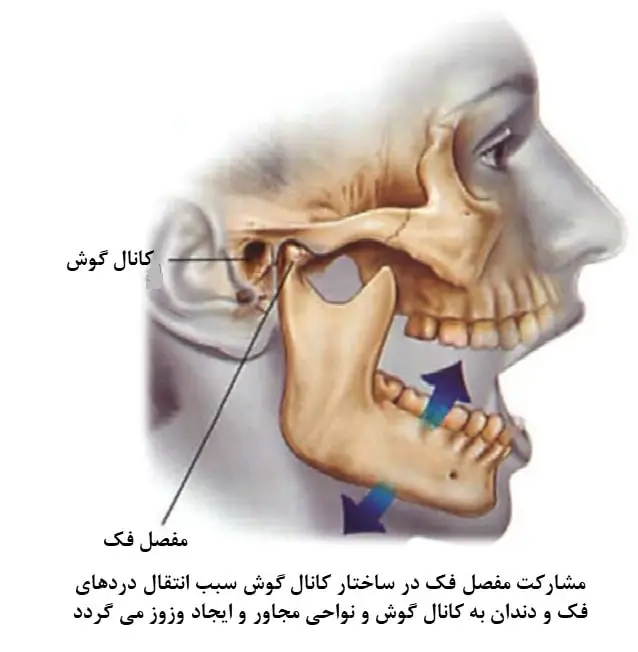 ارتباط میان دندان درد و صدای گوش چیست؟
