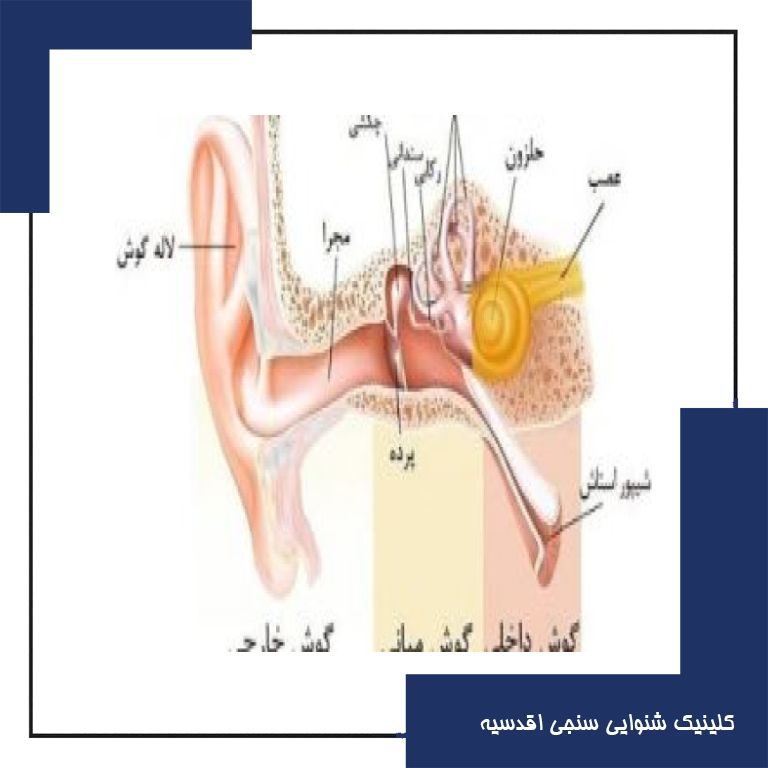 بررسی عملکرد شیپور استاش
