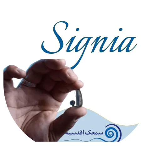  Signia Charge & Go AX .2 